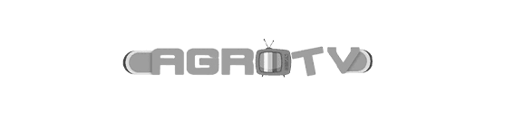 Echo Logo